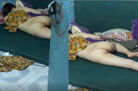 Observe borboletas de sangue sem trava de porta